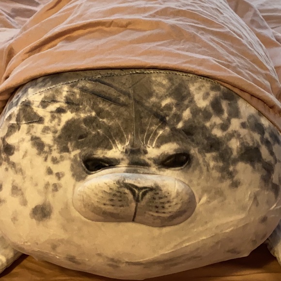 Meet your Posher, Morgan - Picture 1 of 1